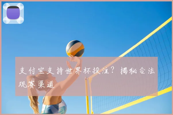 支付宝支持世界杯投注？揭秘合法观赛渠道