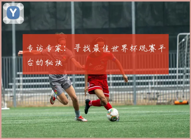 专访专家:寻找最佳世界杯观赛平台的秘诀