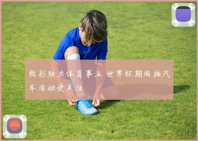 购彩助力体育事业 世界杯期间抽汽车活动受关注