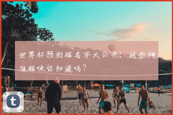 世界杯预测猫名字大公开:这些神准猫咪你知道吗?