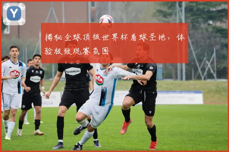揭秘全球顶级世界杯看球圣地,体验极致观赛氛围
