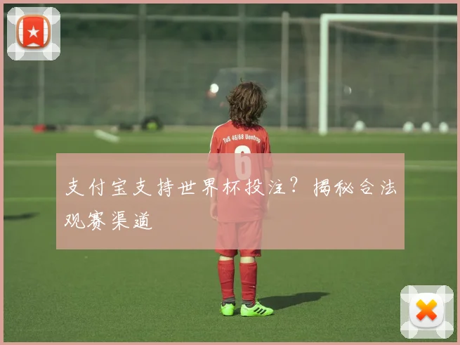 支付宝支持世界杯投注？揭秘合法观赛渠道