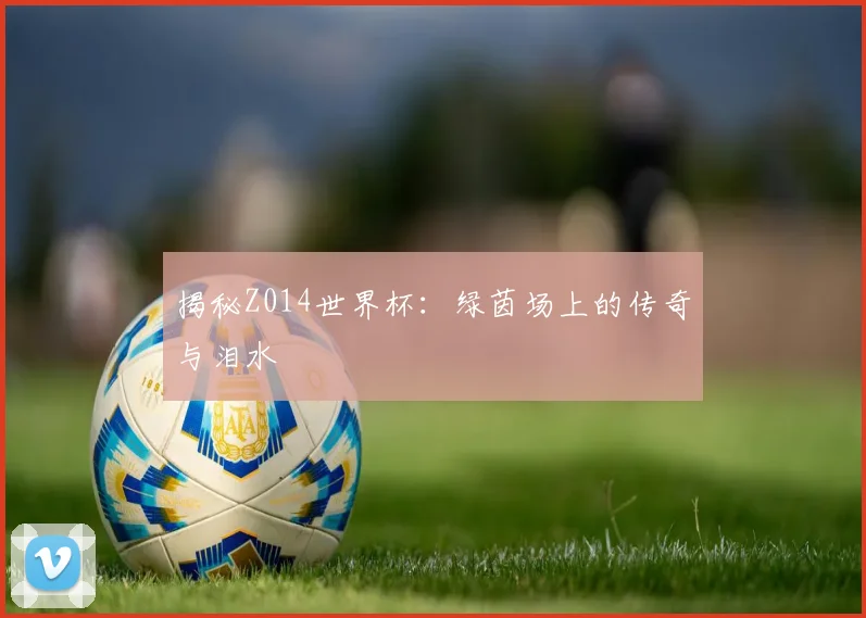 揭秘Z014世界杯:绿茵场上的传奇与泪水