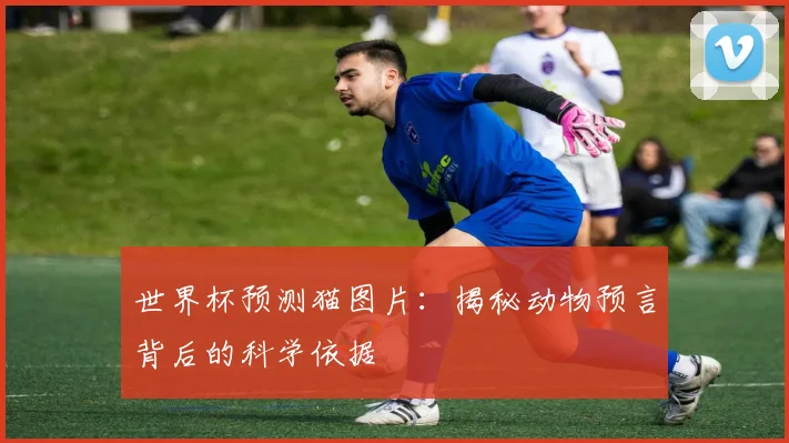 世界杯预测猫图片:揭秘动物预言背后的科学依据