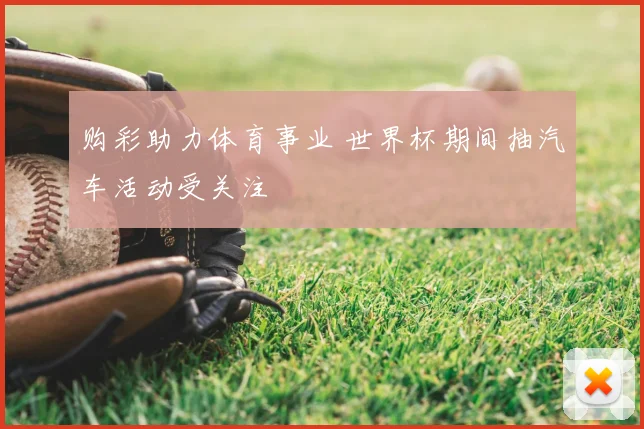 购彩助力体育事业 世界杯期间抽汽车活动受关注