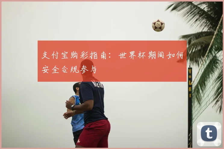 支付宝购彩指南：世界杯期间如何安全合规参与